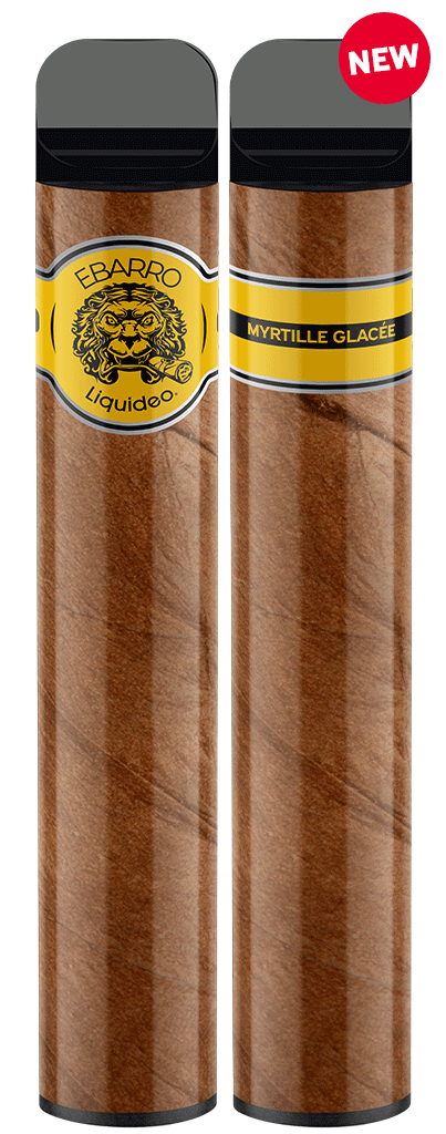 Ebarro 2000 puffs 0% nicotine - Myrtille Glacée x10