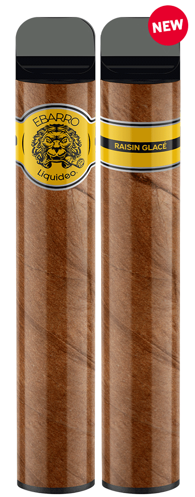 Ebarro 2000 puffs 0% nicotine - Raisin Glacé x10