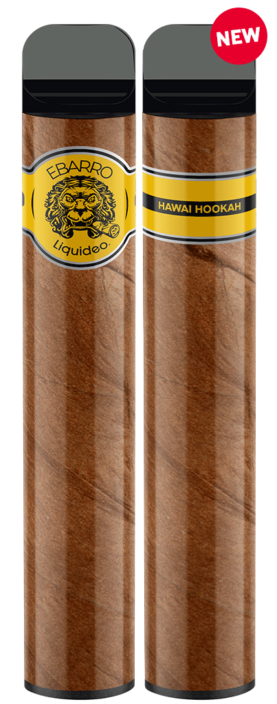 Ebarro 2000 puffs 0% nicotine - Hawai Hookah x10