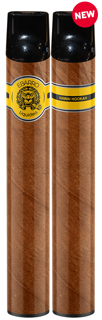 Ebarro 600 puffs - Hawai Hookah x10